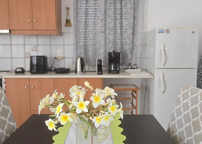 Olive Paradise Maison *