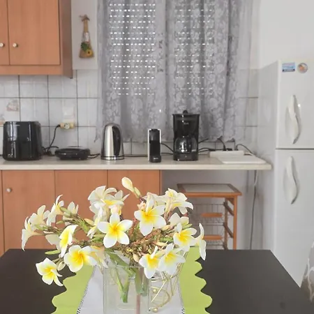 Olive Paradise Maison *