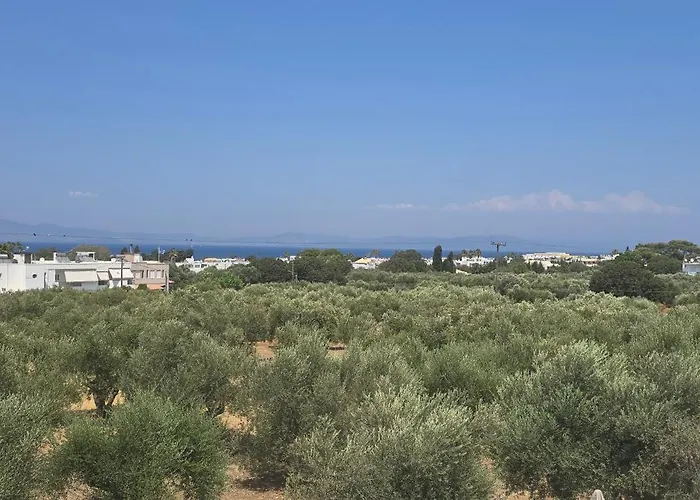 Olive Paradise Maison Hébergement de vacances